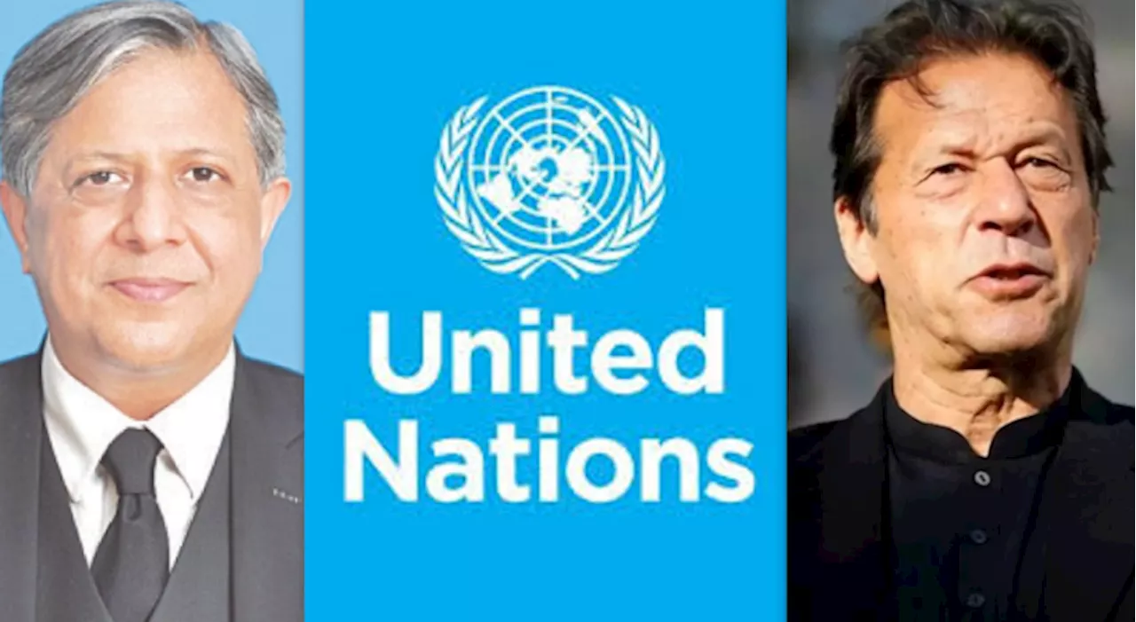 UN Report: Tarar declares Imran Khan's arrest and cases as Pakistan's internal matter