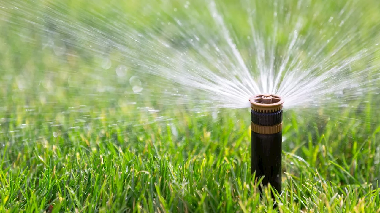 Denverites are watering too much at one particular time each week