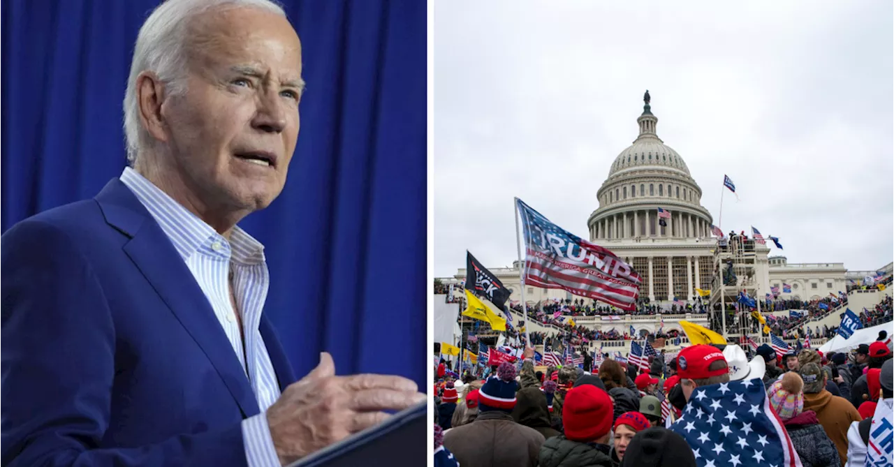 Democrats fear 'MAGA trifecta' if Biden drags down House and Senate candidates in US election