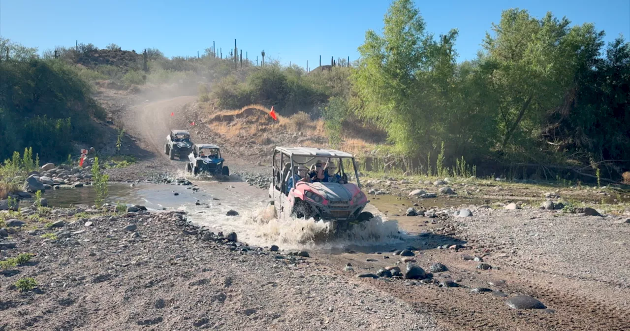 Explore the Sonoran Desert with ATV & UTV tours at Arizona Outdoor Fun