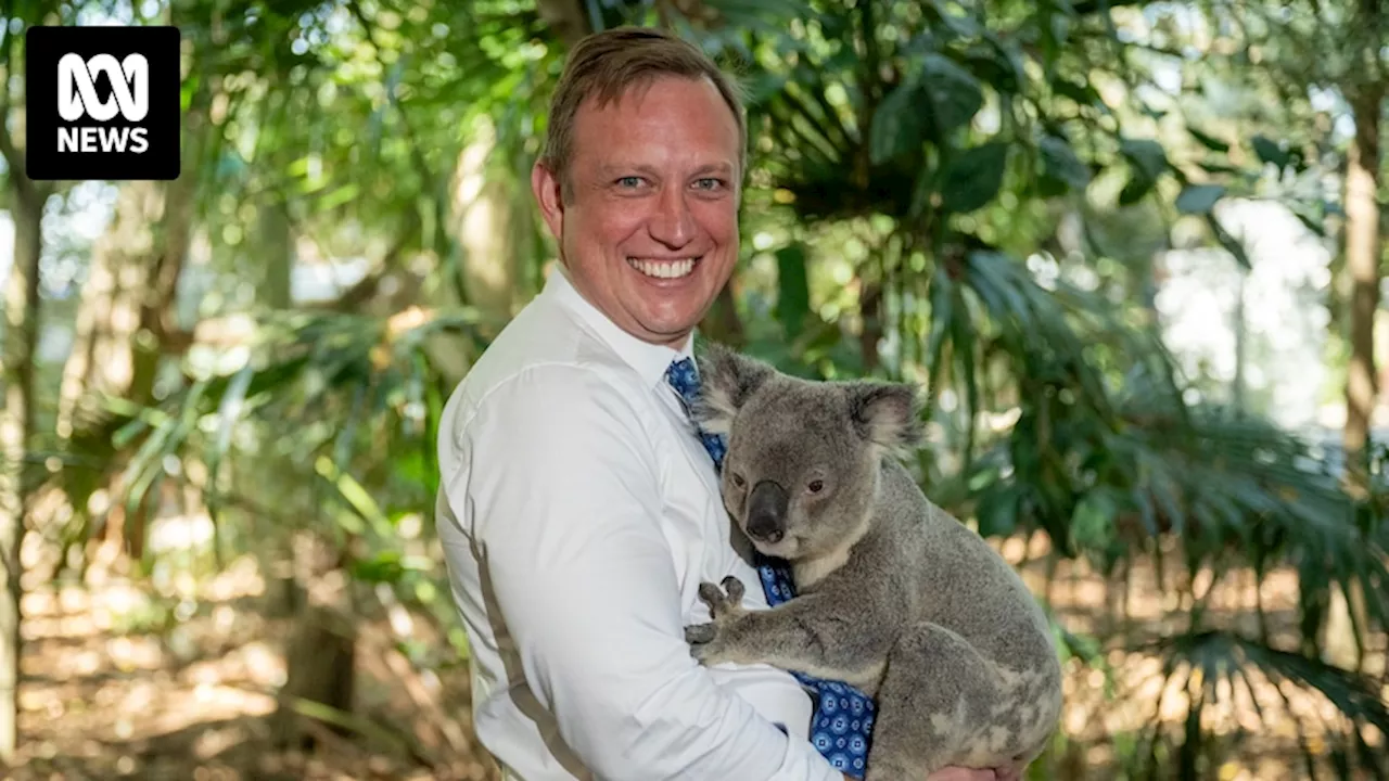 Brisbane's Lone Pine wildlife sanctuary ends koala-holding experience