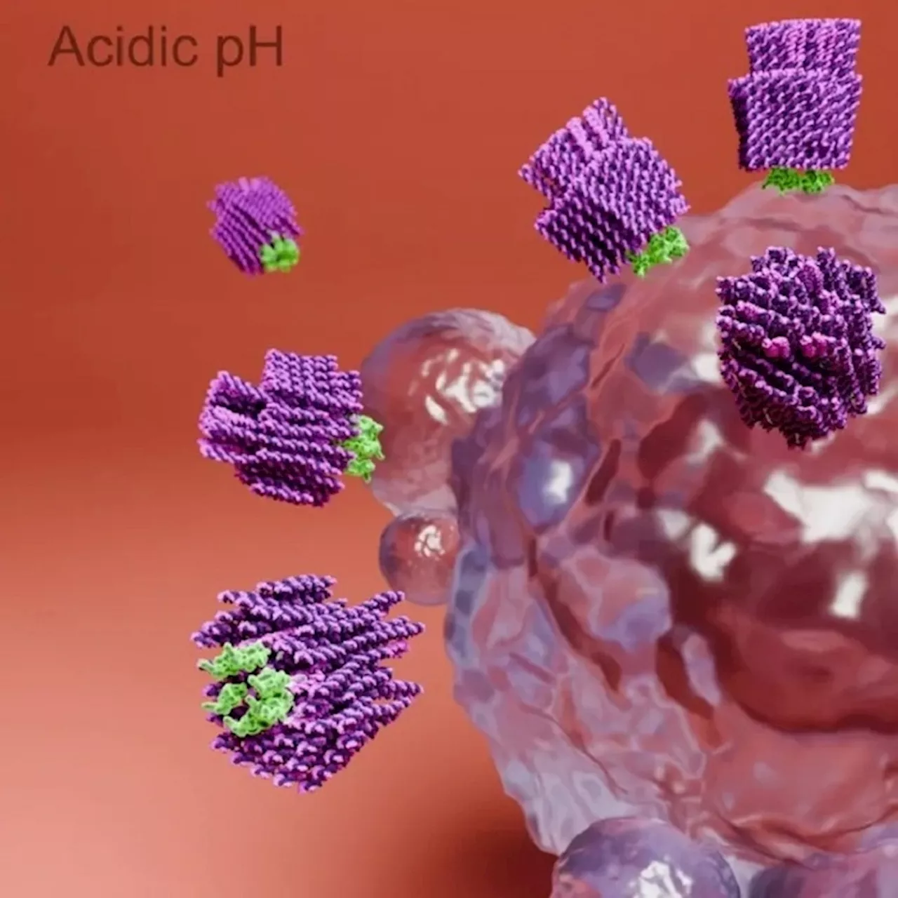 Nanorobot capaci di uccidere le cellule tumorali