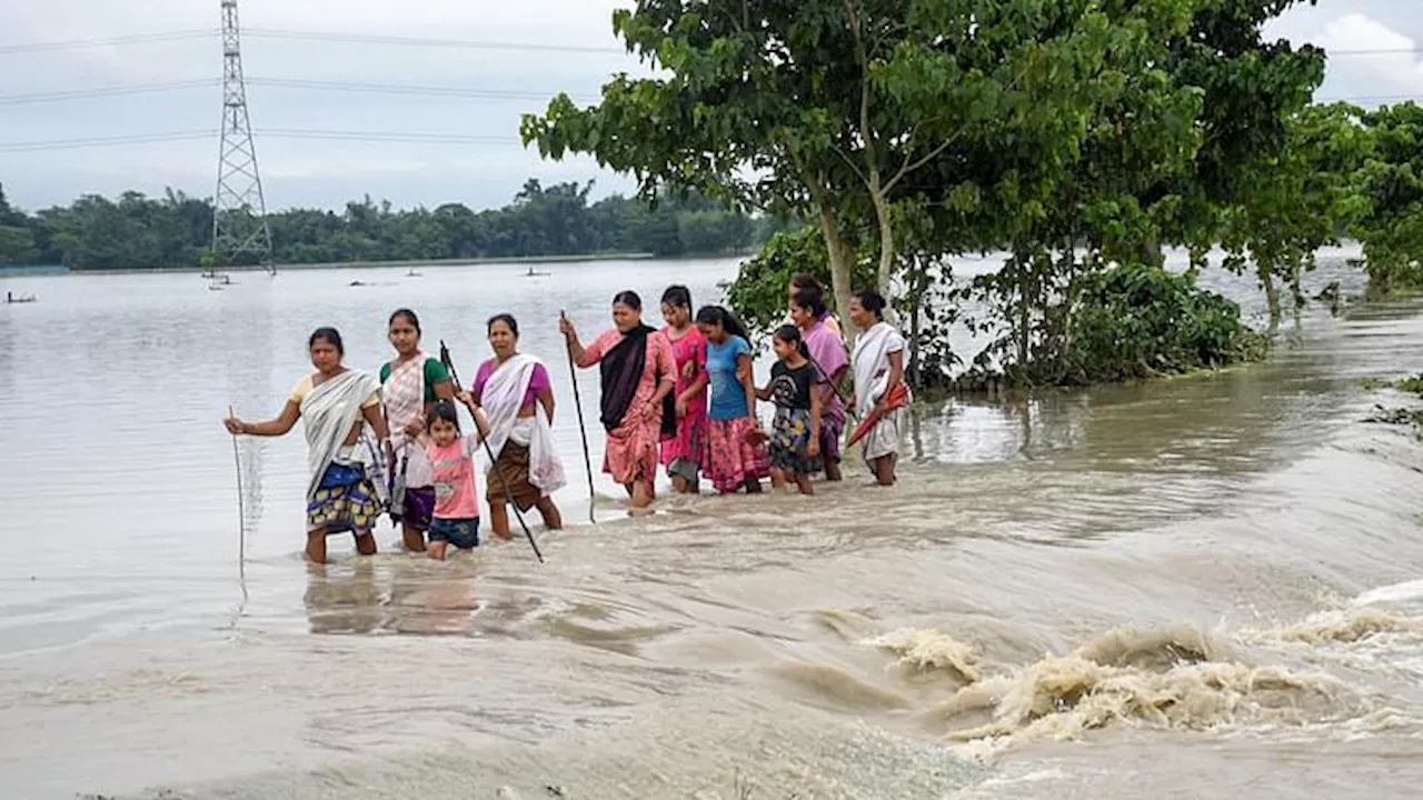 बाढ़ का कहर: असम में तीन लाख से अधिक लोग बेघर, भारी बारिश से अब तक 60 लोगों की मौत; गुजरात में तूफान से तबाही