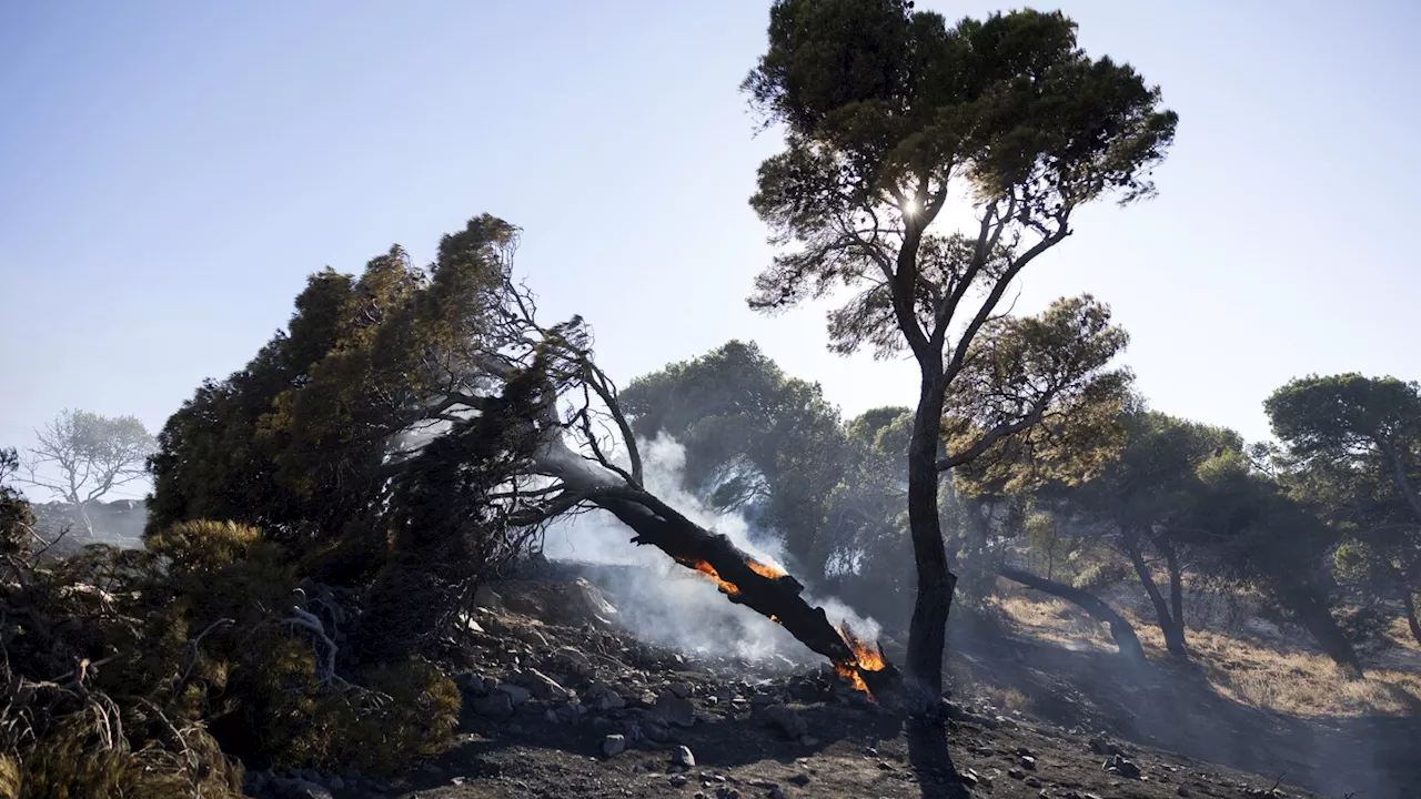 Greece deploys foreign firefighters for the third year running to help tackle wildfires