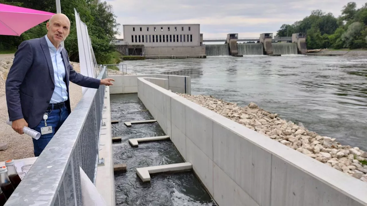 Kaniber eröffnet Fischwanderhilfe in Feldheim