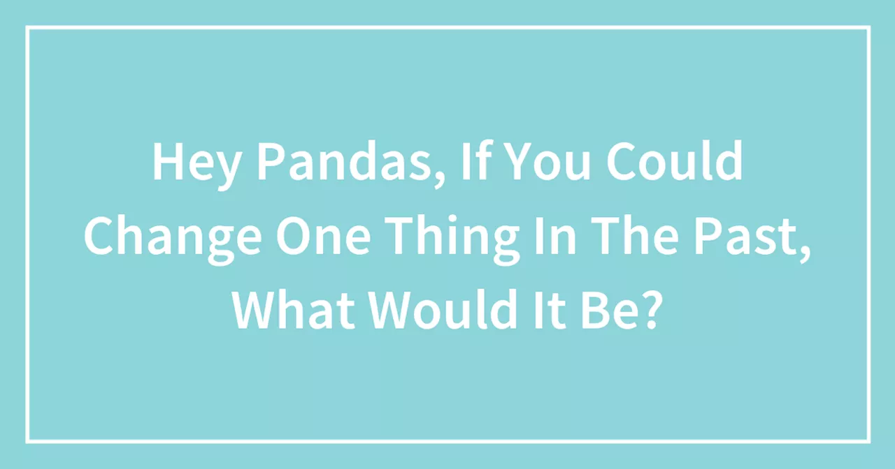 Hey Pandas, If You Could Change One Thing In The Past, What Would It Be?