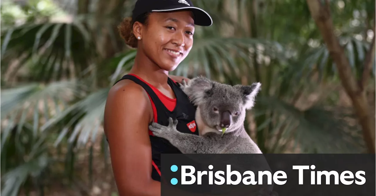 Lone Pine sanctuary in Brisbane bans koala cuddles