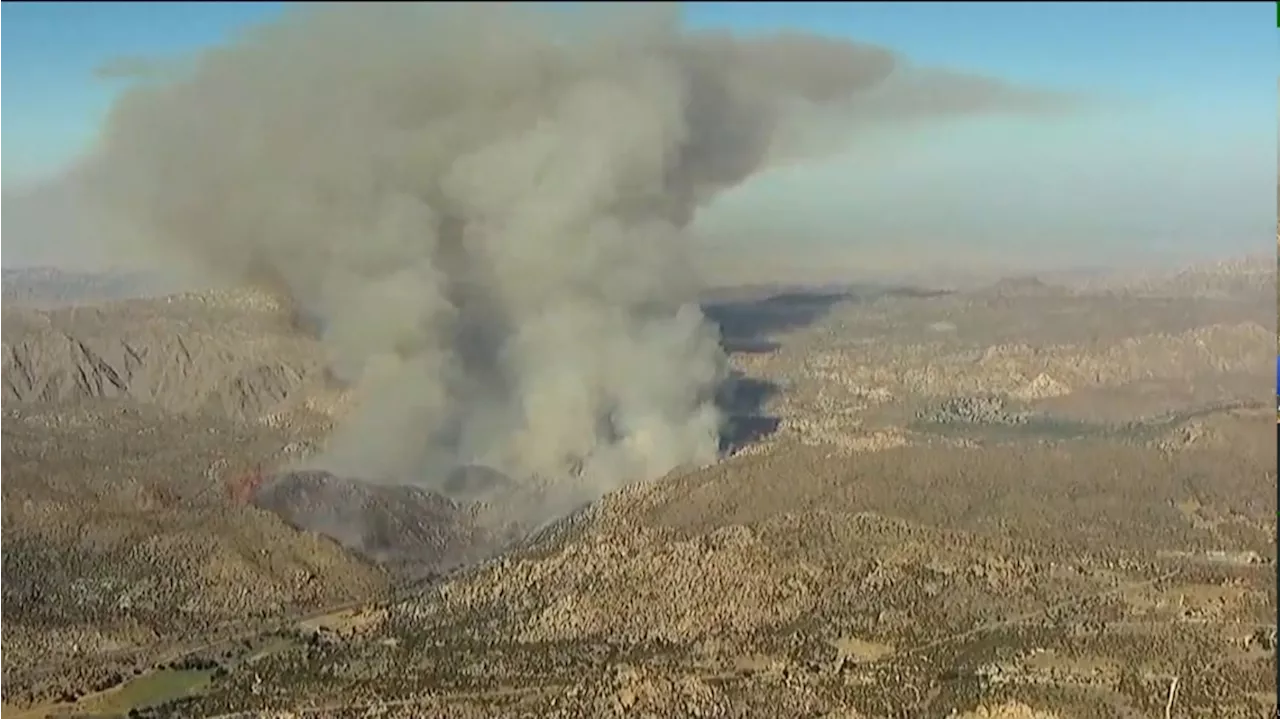 Fire crews battle McCain fire burning in Boulevard near I-8, evacuations ordered