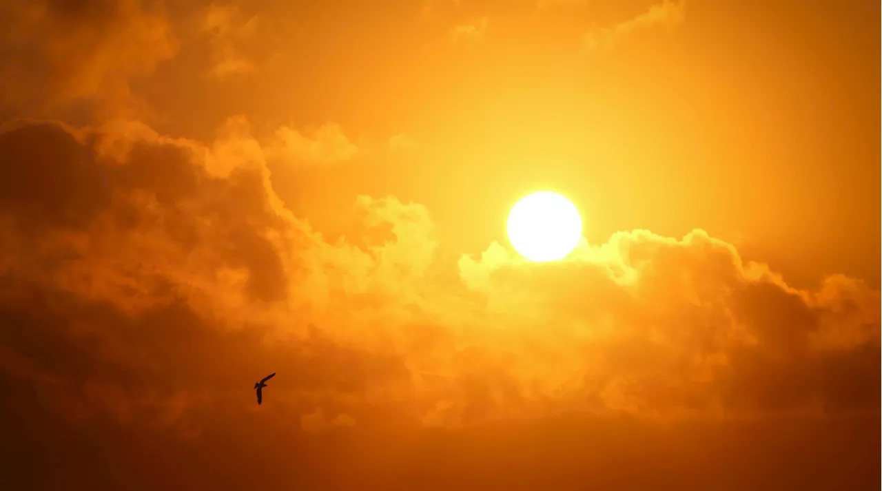 Sunny, hot weather forecast for Vancouver Island for ‘foreseeable future’: meteorologist