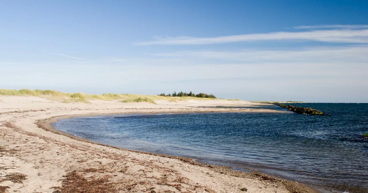 Farlig tendens ses i sommermånederne: Nu kommer livredderne med særlig opfordring