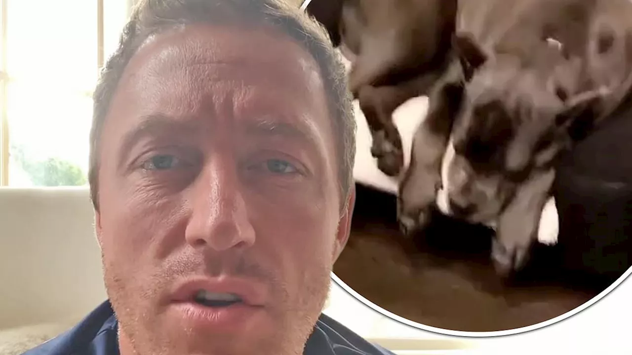 Kroy Biermann ticketed by police over 'aggressive' dog Stone 'getting loose and terrorizing a...