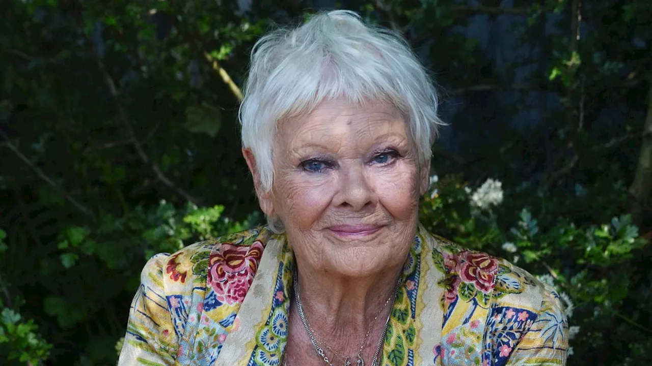 Legendary actresses Dame Judi Dench, 89, and Dame Sian Phillips, 91, to take on new roles