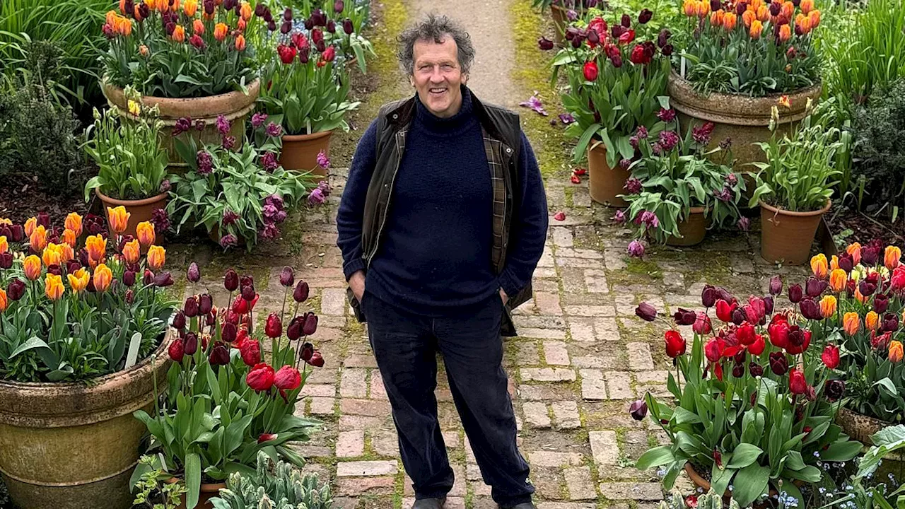 Monty Don shares gardening jobs you must do now in July for the perfect summer garden