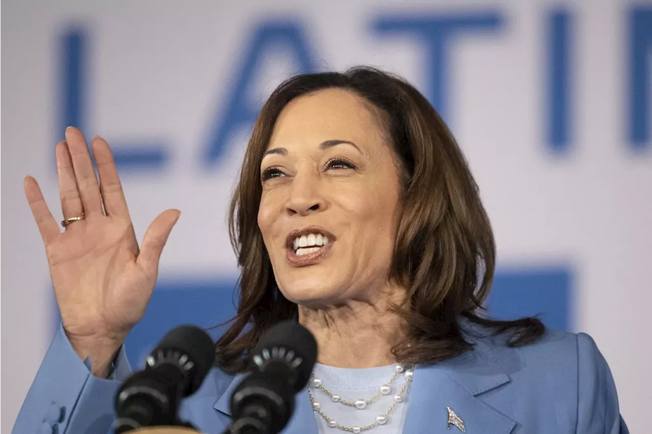 Former House Democrat calls on Harris to replace Biden as cracks form in party