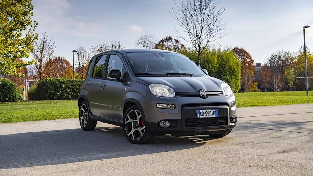 Fiat Panda: come funziona la formula di noleggio di Ayvens