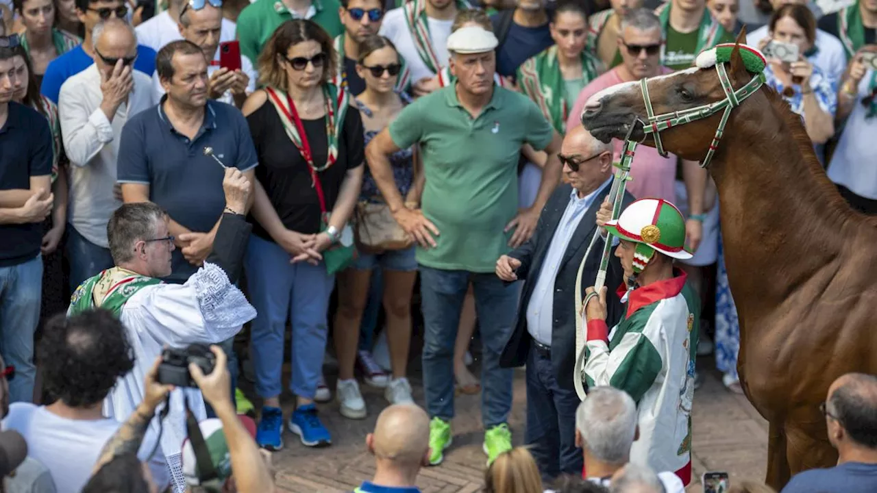 LIVE Alle 19.30 il Palio di Siena: Oca e Montone favorite, adesso il corteo storico