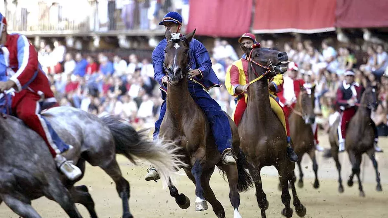 Palio di Siena 2024 del 2 luglio: orario, contrade in gara oggi, fantini e cavalli