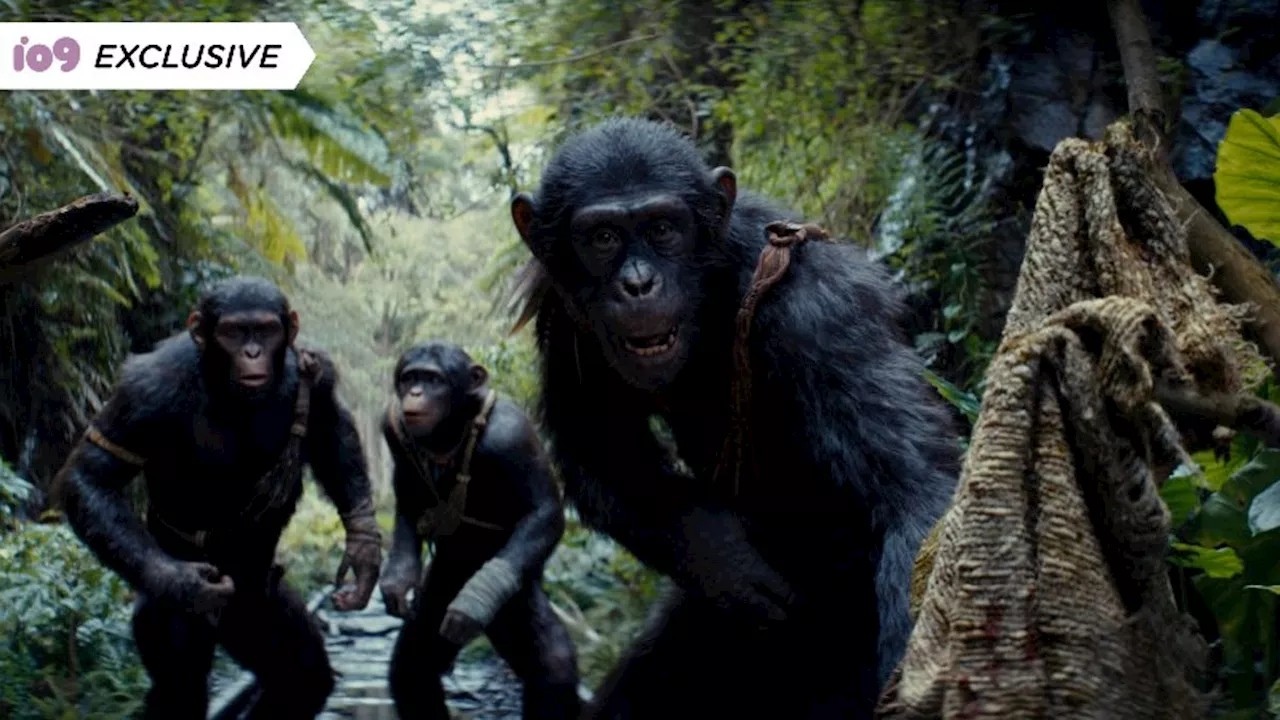 Watch Kingdom of the Planet of the Apes' Stars Attend Ape School