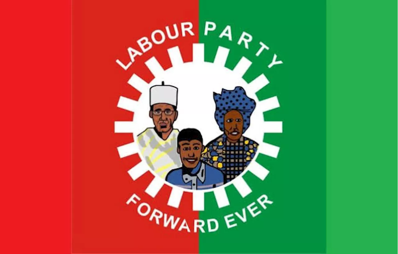 Labour Party condemns detention of Enugu Assembly candidate | Nigeria ...