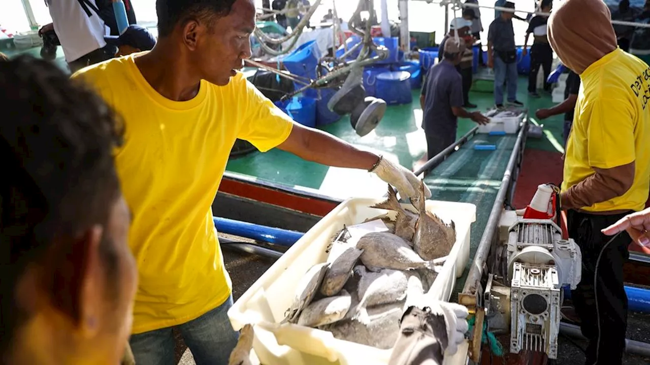 Kampus di Maluku Perlu Fokus pada Riset Pemerataan Antarpulau