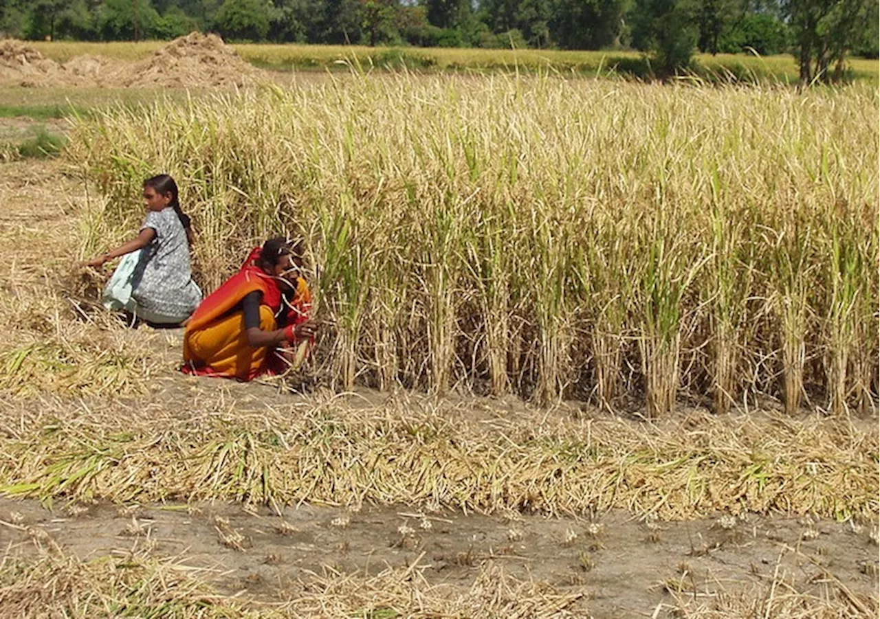 Young woman killed by Hindu relatives in Chhattisgarh because she was Christian