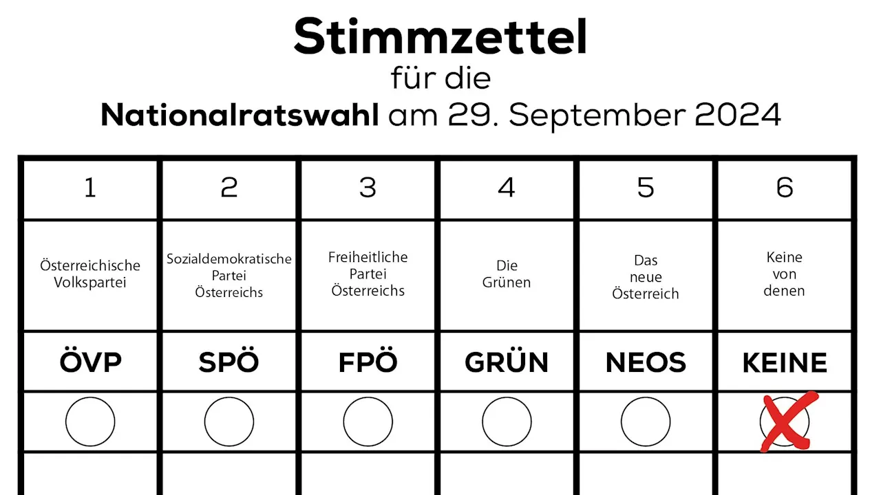 'Für alle, die wütend sind' – Partei macht nun Angebot