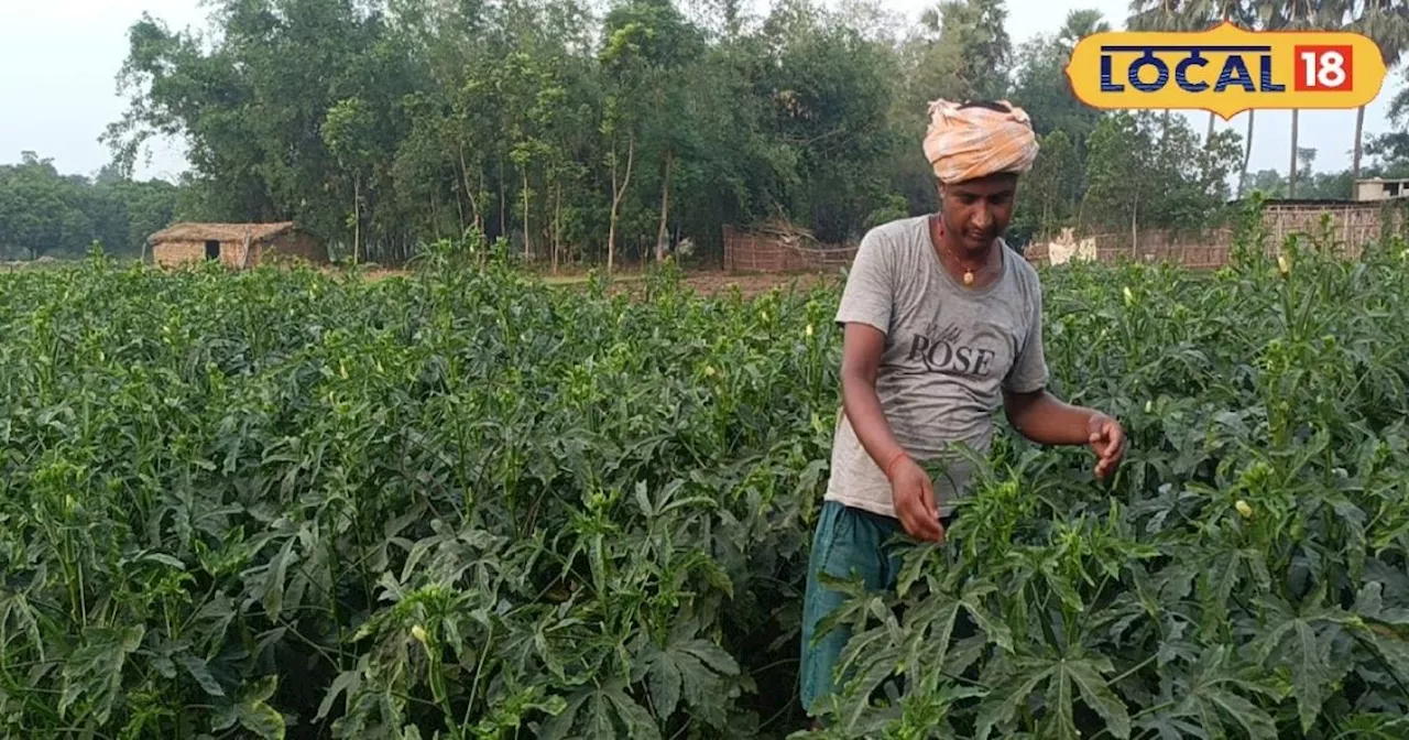 इन दो सब्जियों की खेती में है नगद मुनाफे की गारंटी, लाखों में कमा रहा सहरसा का ये किसान