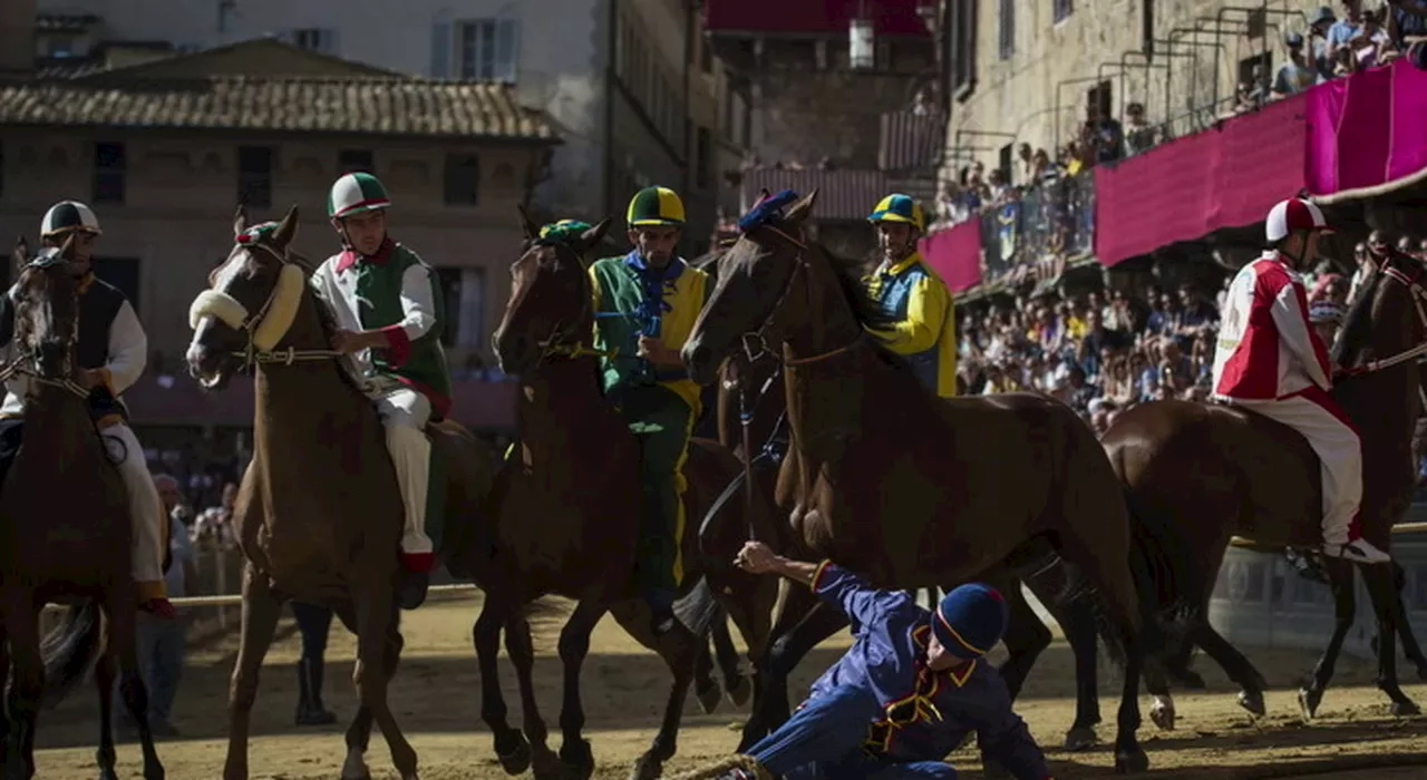 Palio di Siena 2024, dove guardare in tv e a che ora la diretta