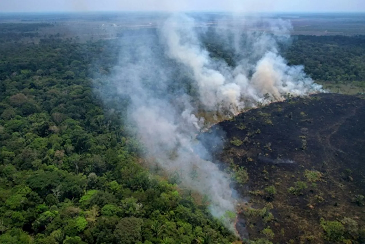 Brasile, aumento record degli incendi in Amazzonia nel primo semestre del 2024