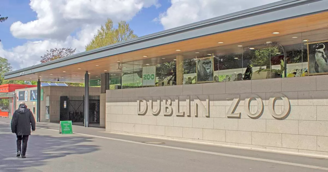 Dublin Zoo cleared of wrongdoing after investigation into allegations of mistreatment of animals