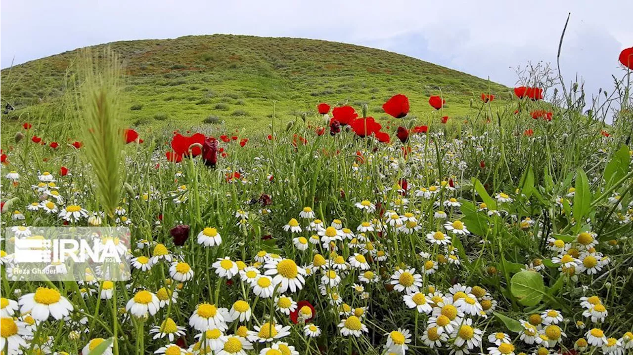 افزایش ۱۰ درجه ای دما و کاهش ناپایداری ها در گیلان