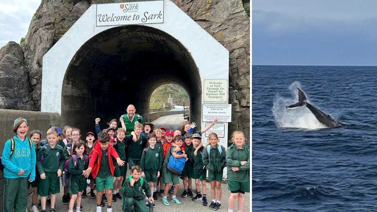 Jersey schoolchildren witness rare sighting of whale breaching on school trip back from Sark