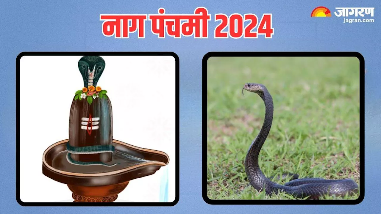 Nag Panchmi 2024: सावन में कब है नाग पंचमी? अभी नोट करें शुभ मुहूर्त और पूजा विधि