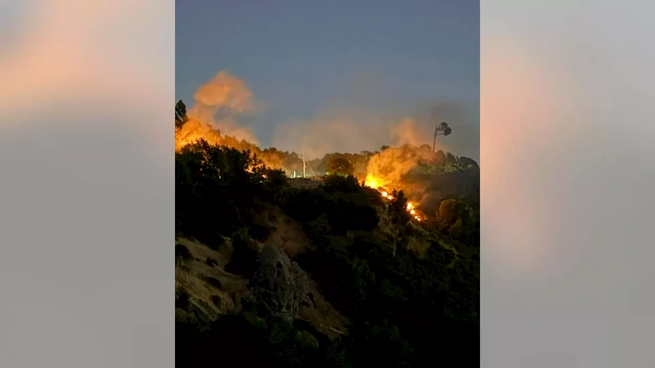 Firefighters respond to Berkeley Hills blaze on Grizzly Peak Boulevard