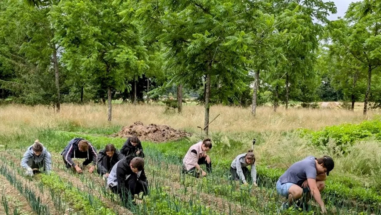 Pamiers : les chantiers jeunesse au cœur des jardins potagers d’Emmaüs