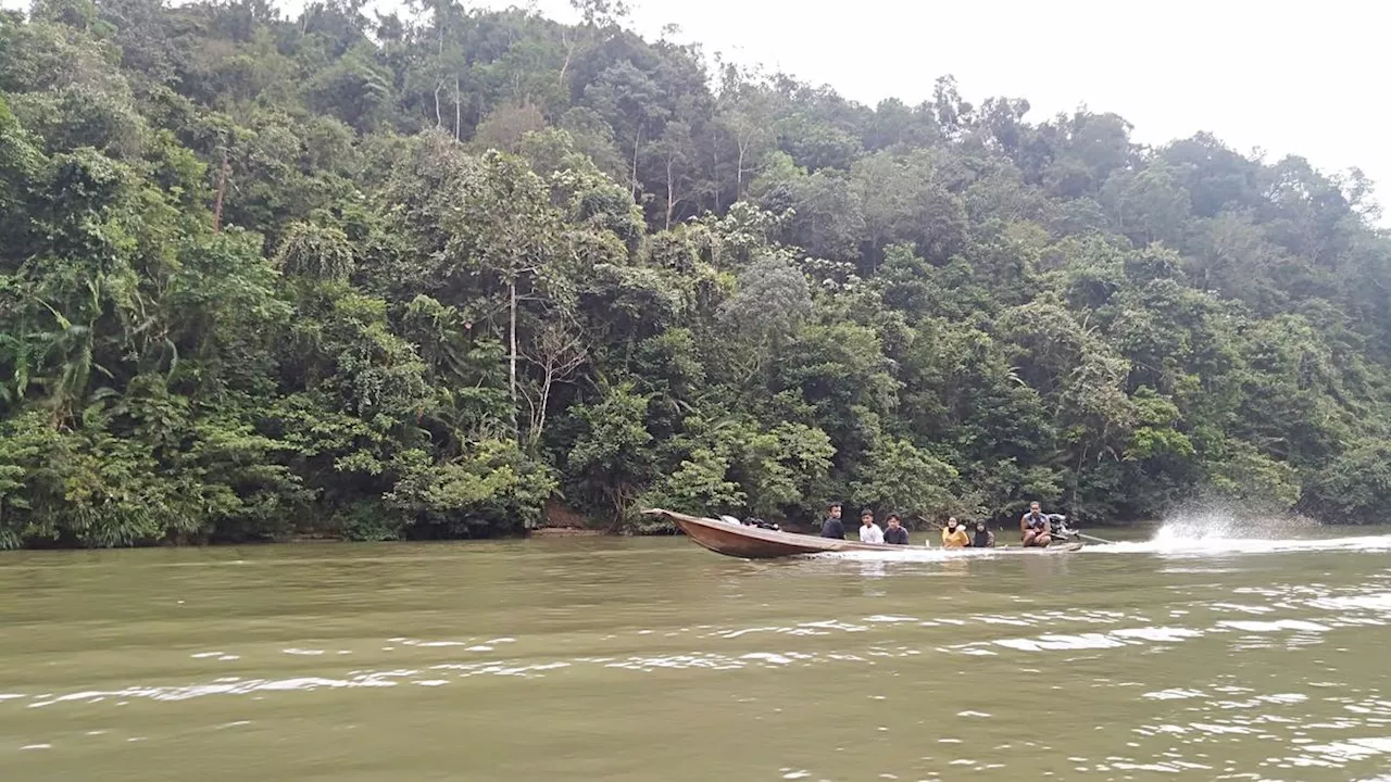 Cara Masyarakat Jambi Melestarikan Adat Istiadat dan Lingkungan Lewat Lubuk Larangan