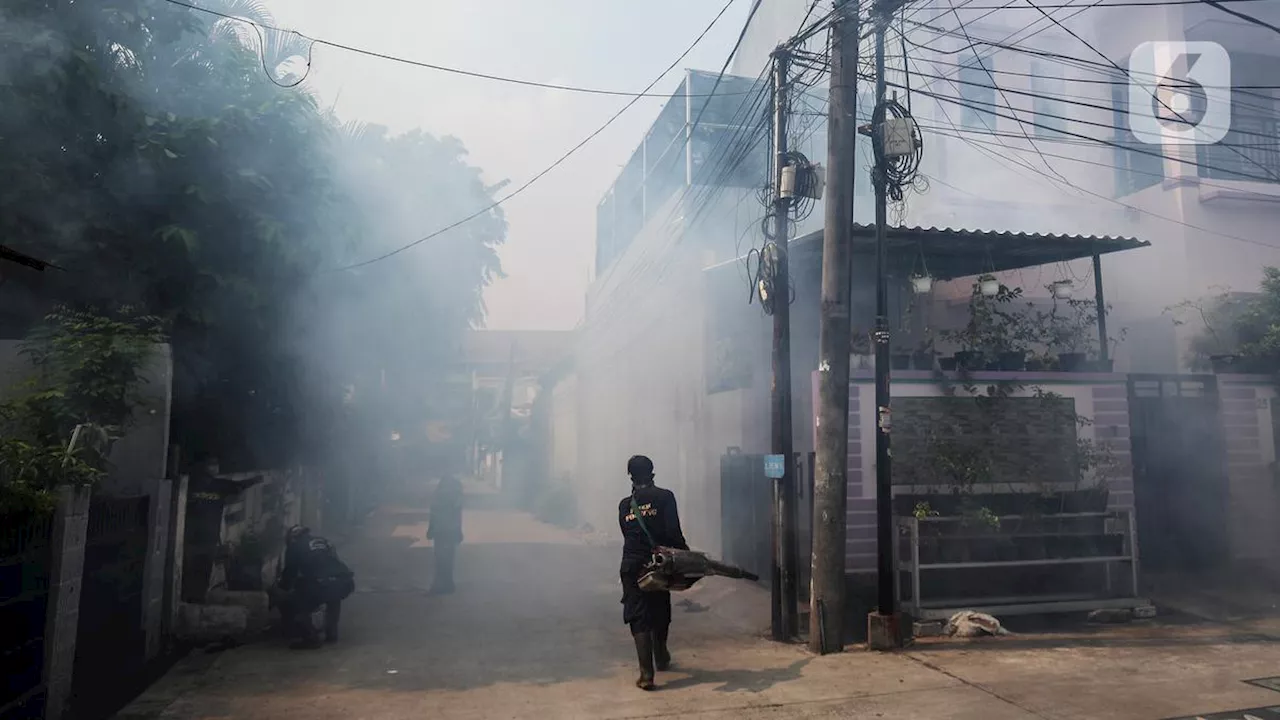 DBD di Indonesia Mengganas, Vaksinasi Jadi Senjata Bagi Dunia Melawan Demam Berdarah Dengue