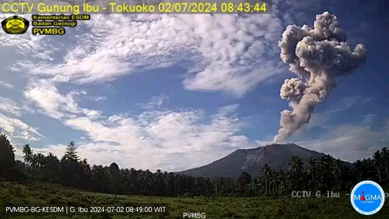 Gunung Ibu Meletus Lagi, Semburkan Abu Vulkanik Setinggi 3.000 Meter