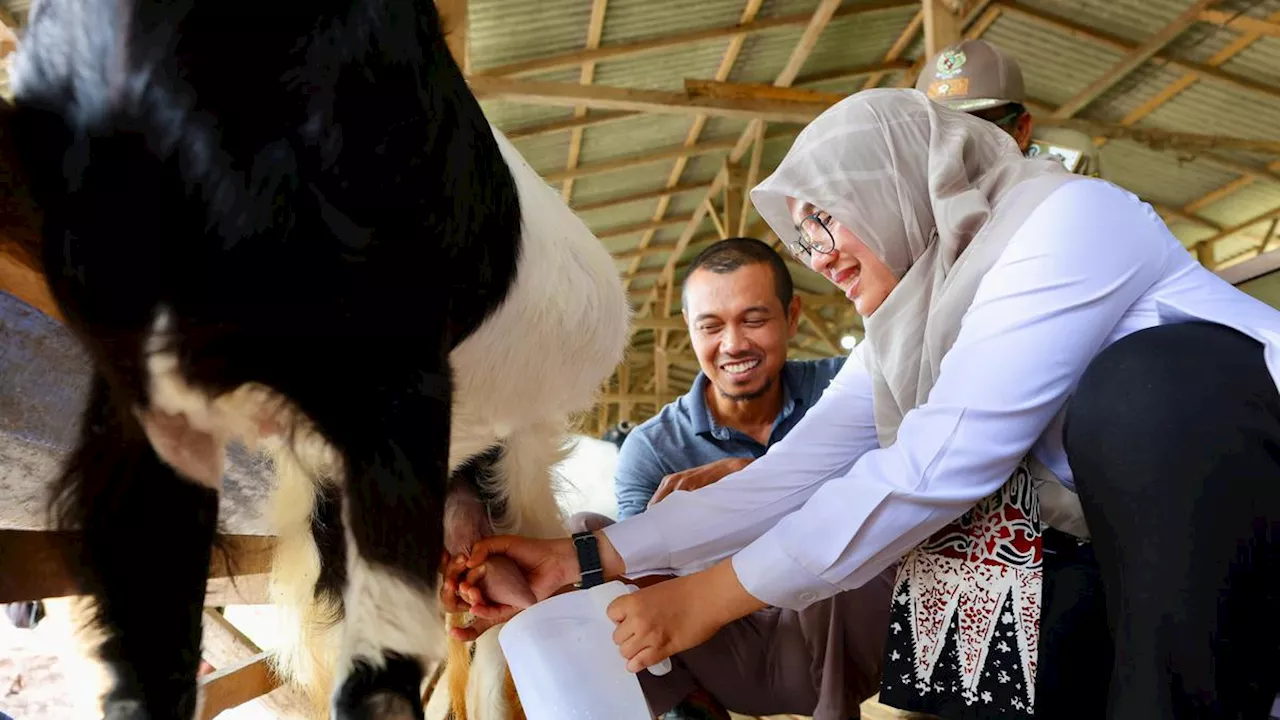 Kisah Sukses Jarot Setiawan, Mantan PMI Banyuwangi yang Sukses Jadi Pengusaha Susu Kambing Perah