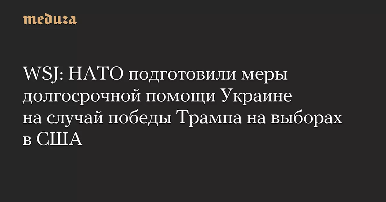 WSJ: НАТО подготовили меры долгосрочной помощи Украине на случай победы Трампа на выборах в США — Meduza