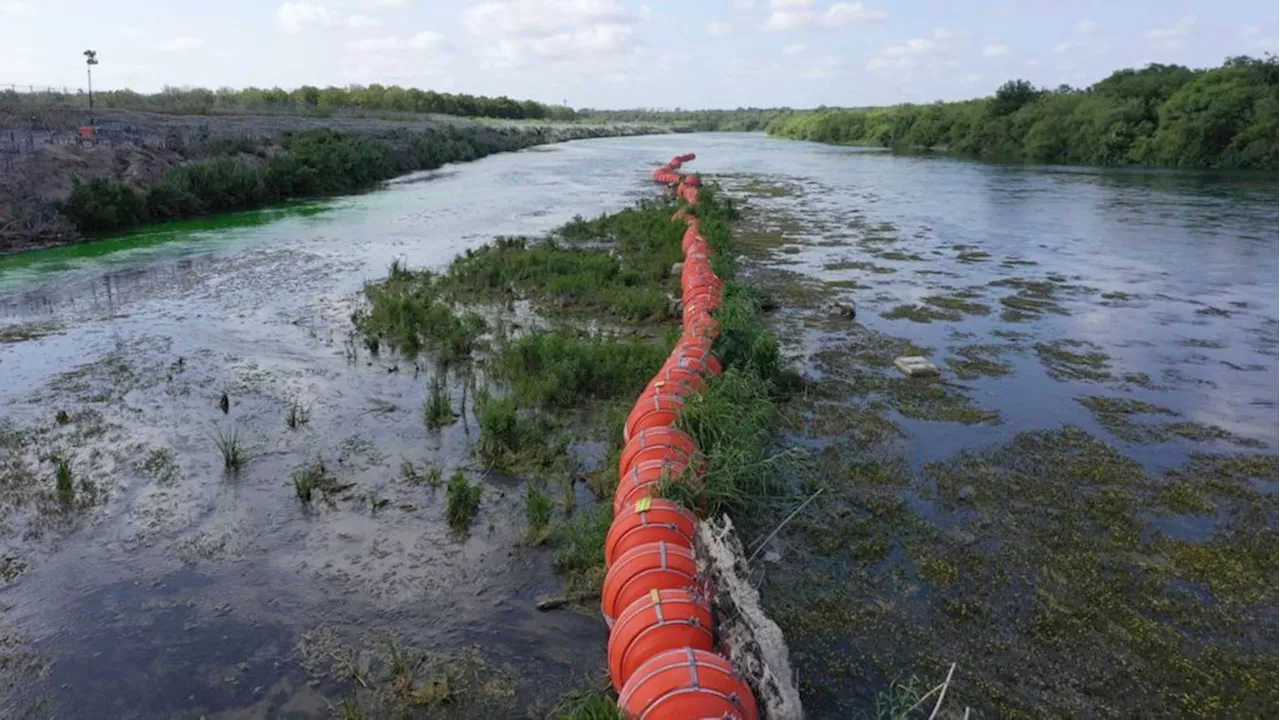 Grass, plants growing among border buoys in the Rio Grande, researcher says