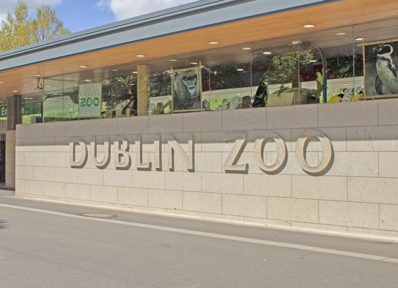 Dublin Zoo cleared of allegations of animal mistreatment