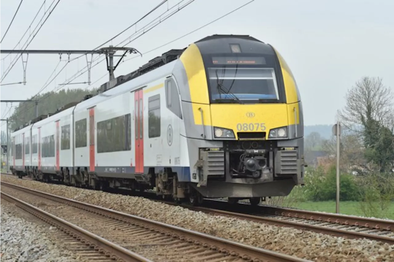 NMBS zet extra treinen in naar kust, dierentuin en pretpark tijdens zomervakantie