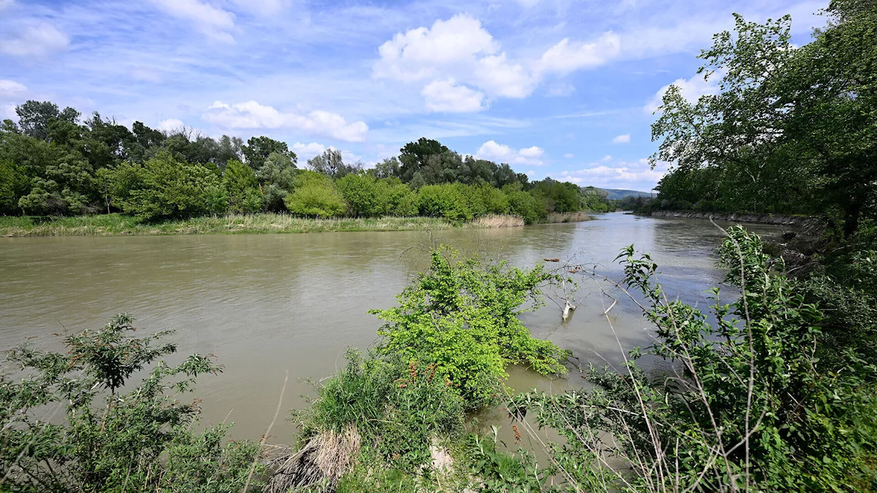 Donau-Nebenarm in Petronell soll renaturiert werden