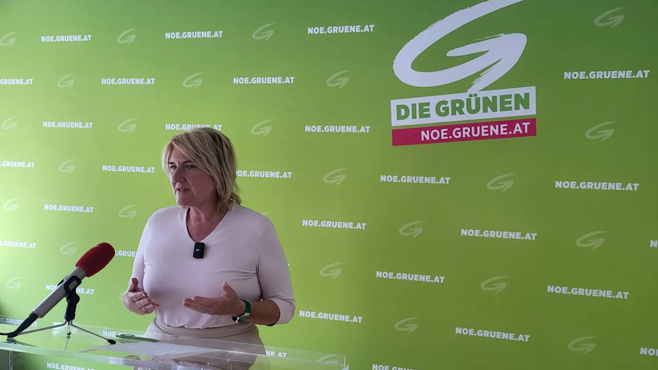 „More of the Same“: Auch Grüne lehnen Doppelbudget ab