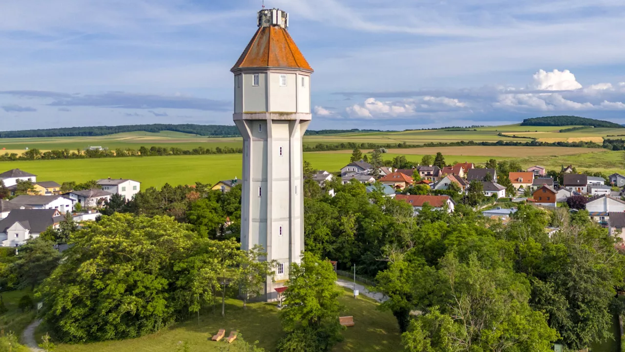 Neue Stadtoase um Fischamender Wasserturm eröffnet