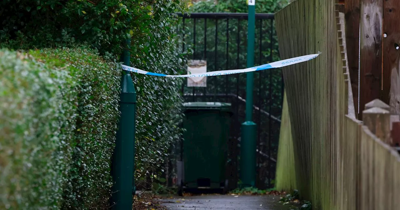 Murder accused told friends he 'smoked' dad-of-two stabbing victim