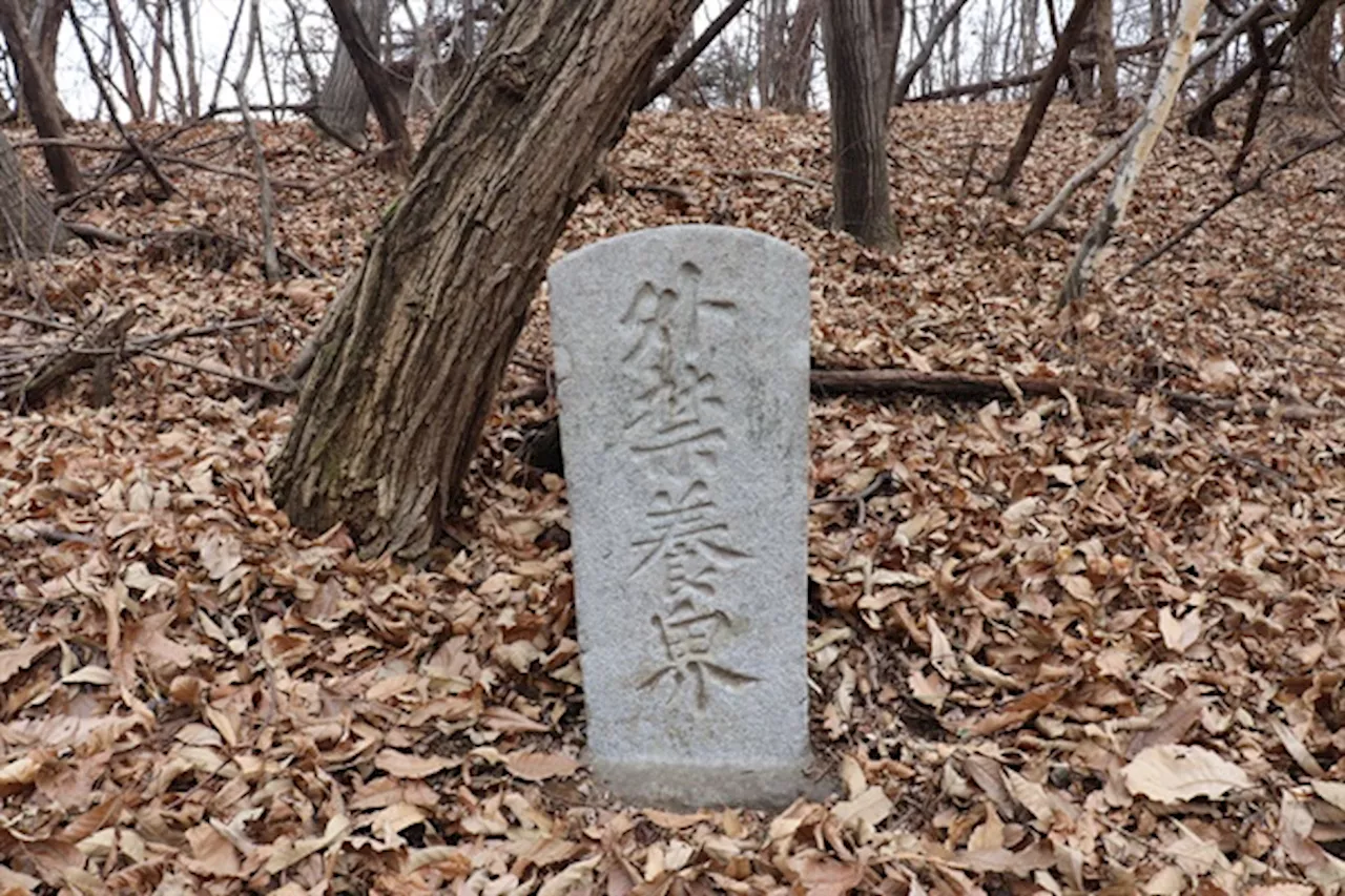 조선시대 산림 행정과 왕릉 보호의 상징, 외금양계비