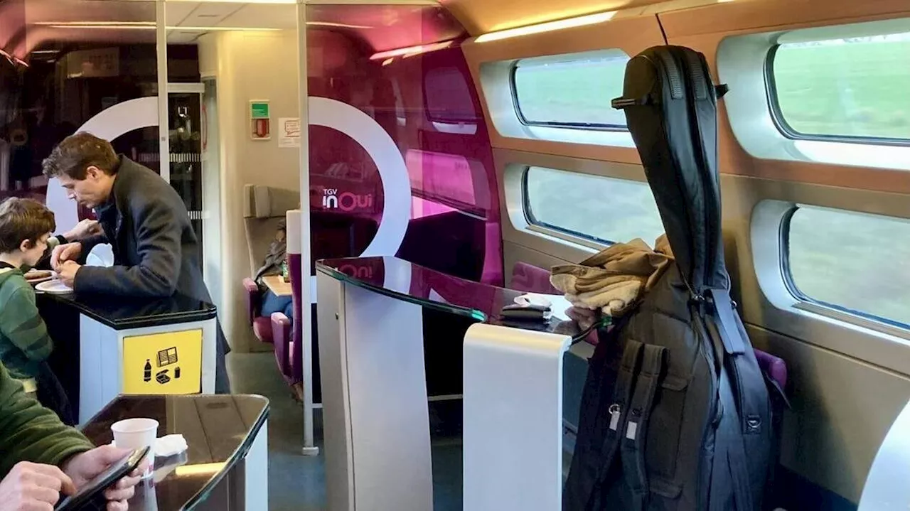 SNCF. Vous pourrez désormais voyager avec cet instrument de musique dans les TGV cet été