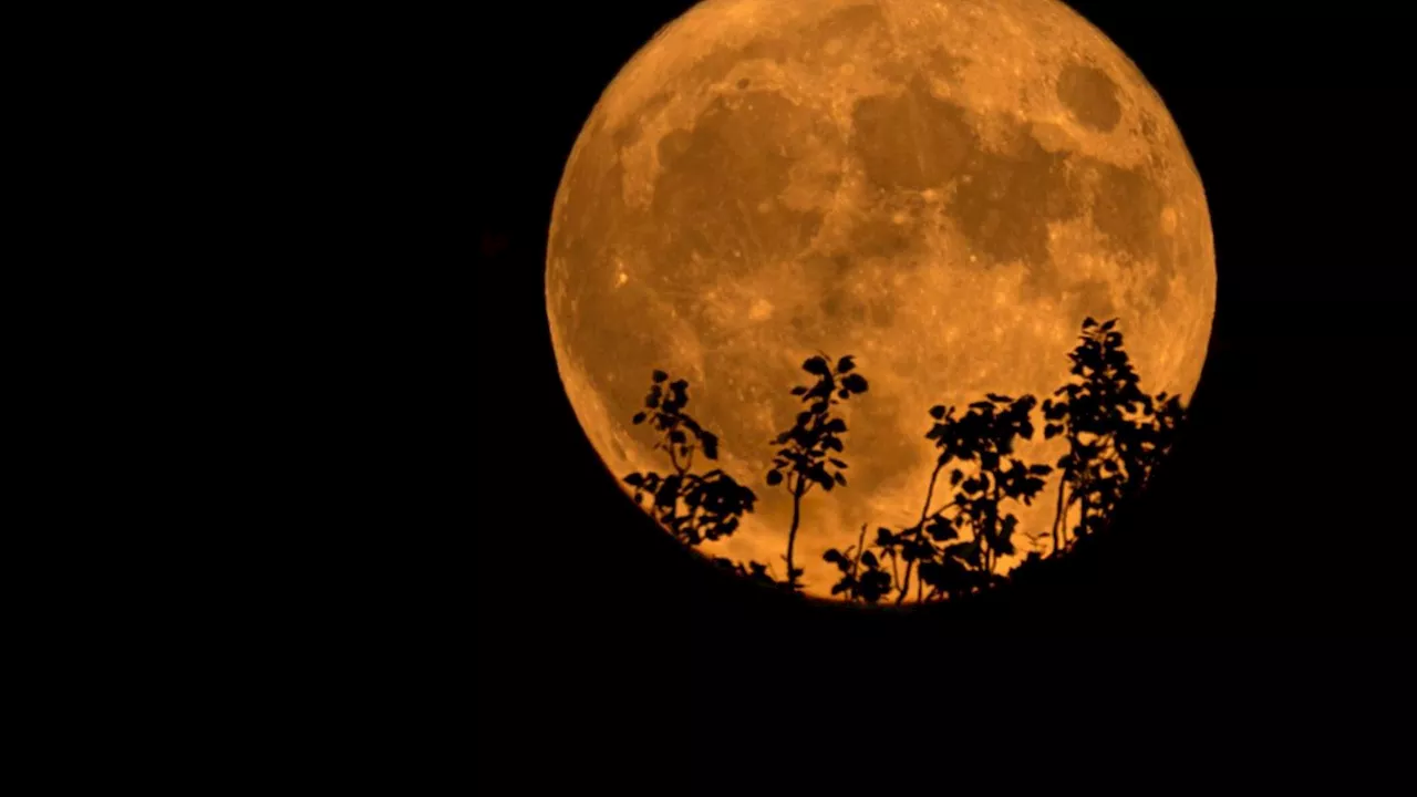 Luna llena de Ciervo: ¿Cuándo será y en qué parte de México se podrá observar?